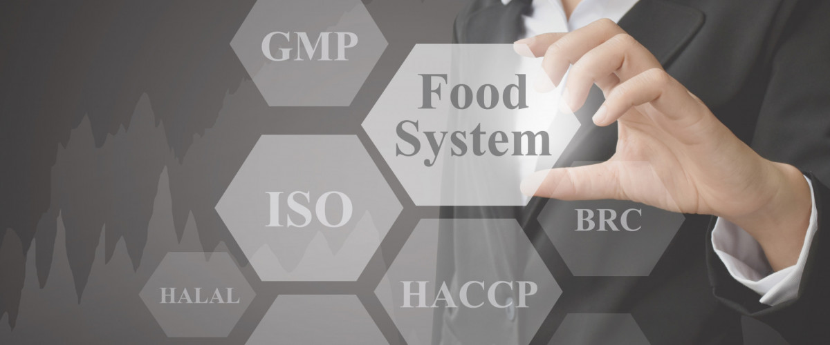 iso audit