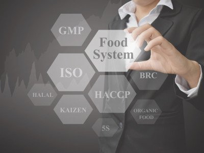 iso audit