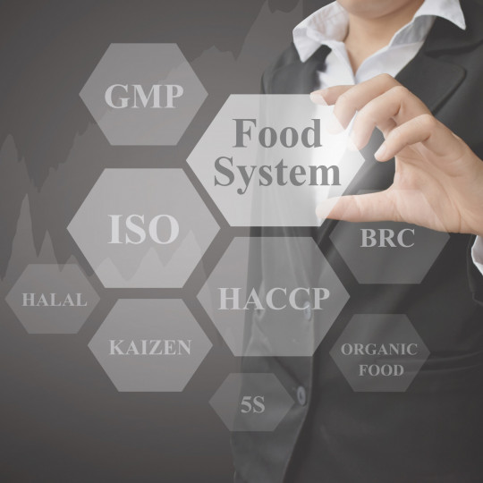 iso audit
