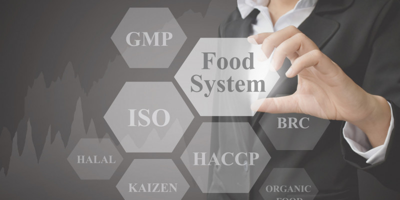 iso audit