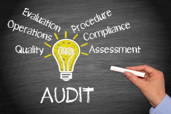 ISO standards audit