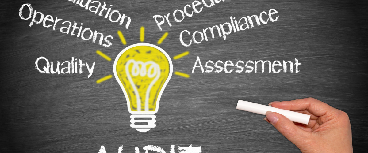 ISO standards audit