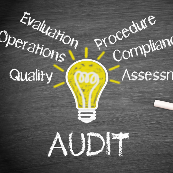 ISO standards audit